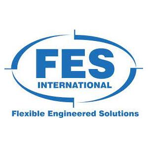 FES International